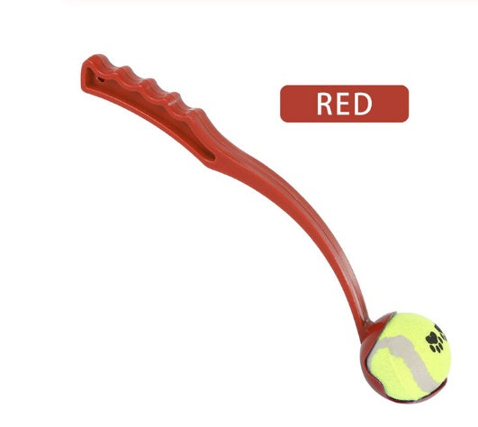 Dog throwing ball 1022739220672