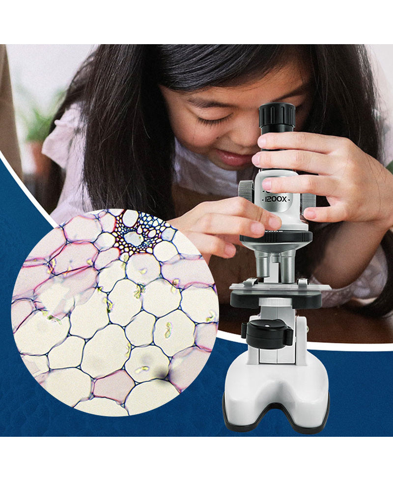 High Definition 1200x Microscope Toy Set Primary School Biological Science Experiment 118971db a366 4314 b34a 9d4c267e0f89