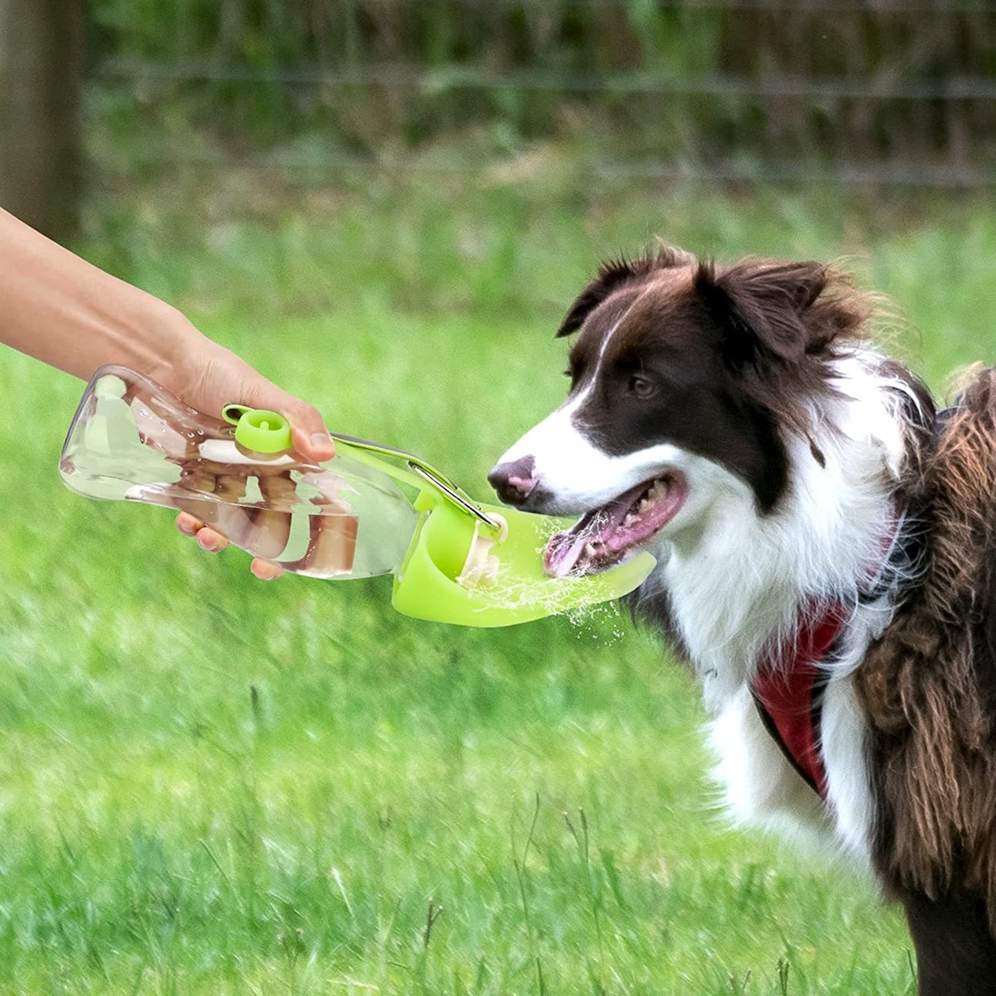 Portable Pet Water Dispenser Feeder Leak Proof With Drinking Cup Dish Bowl Dog Water Bottle 11e2f291 46d4 4494 b092 884eb7805
