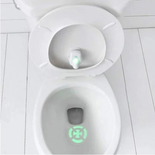 Automatic Toddler Target Training Light 15954232139542