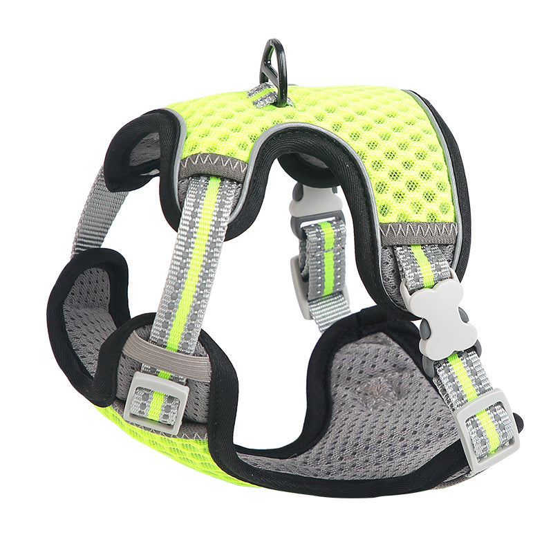 Going Out For A Cat Walk, Pet Cat Chest Strap 1620292967885