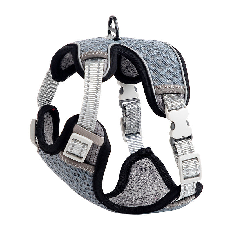 Going Out For A Cat Walk, Pet Cat Chest Strap 1620292967886