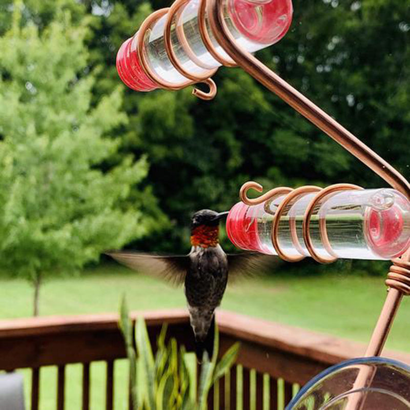 Garden Bird Feeder Supplies Hummingbird Feeder Drinker Suction Cup Easy To Clean Deck Garden Decor Bird Feeders for Wild Bird