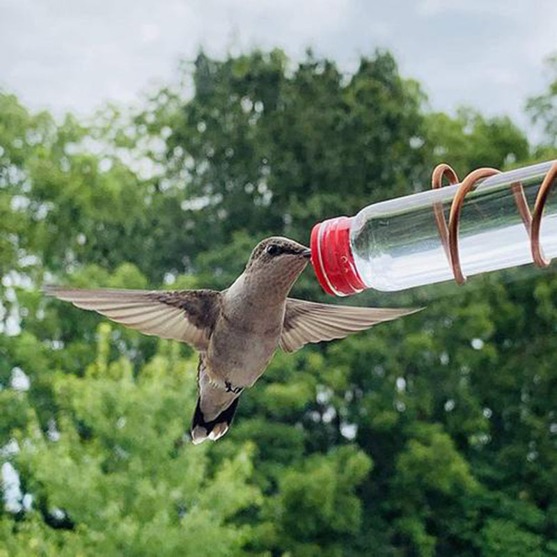 Garden Bird Feeder Supplies Hummingbird Feeder Drinker Suction Cup Easy To Clean Deck Garden Decor Bird Feeders for Wild Bird