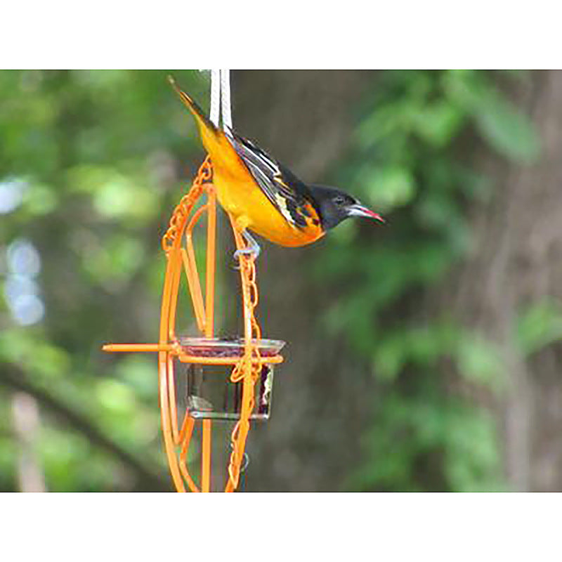 Oriole Bird Feeder Orange Fruit Outdoor Garden Metal Hanging Drinking Grape Jelly Container Farm Hummingbird Automatic Portab