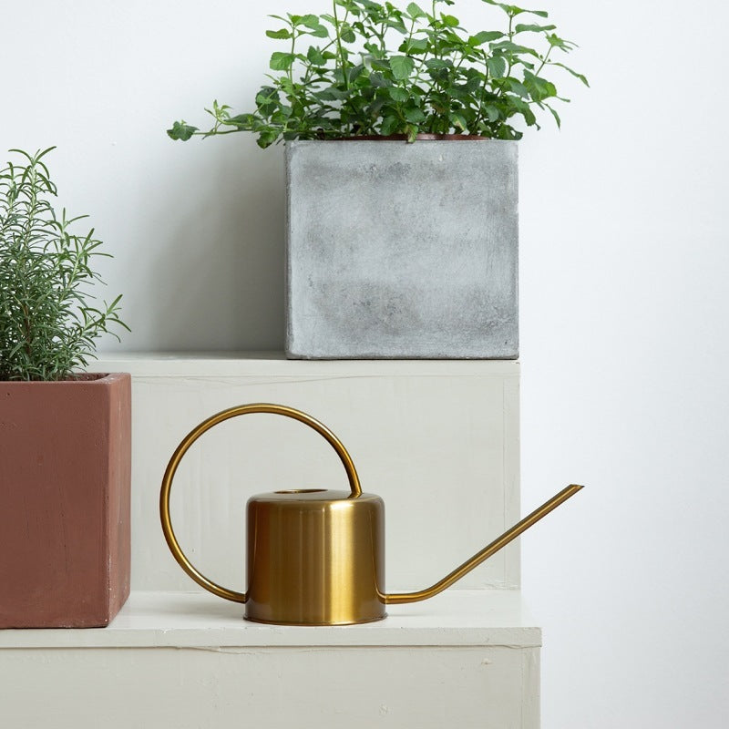 Brass Golden Watering Can And Stainless Steel Watering Can 1623826201873