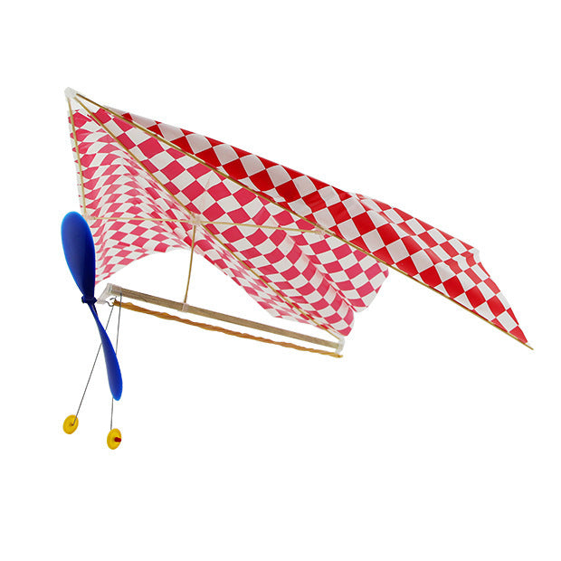 Double - wing rubber - powered aircraft 1965397762347