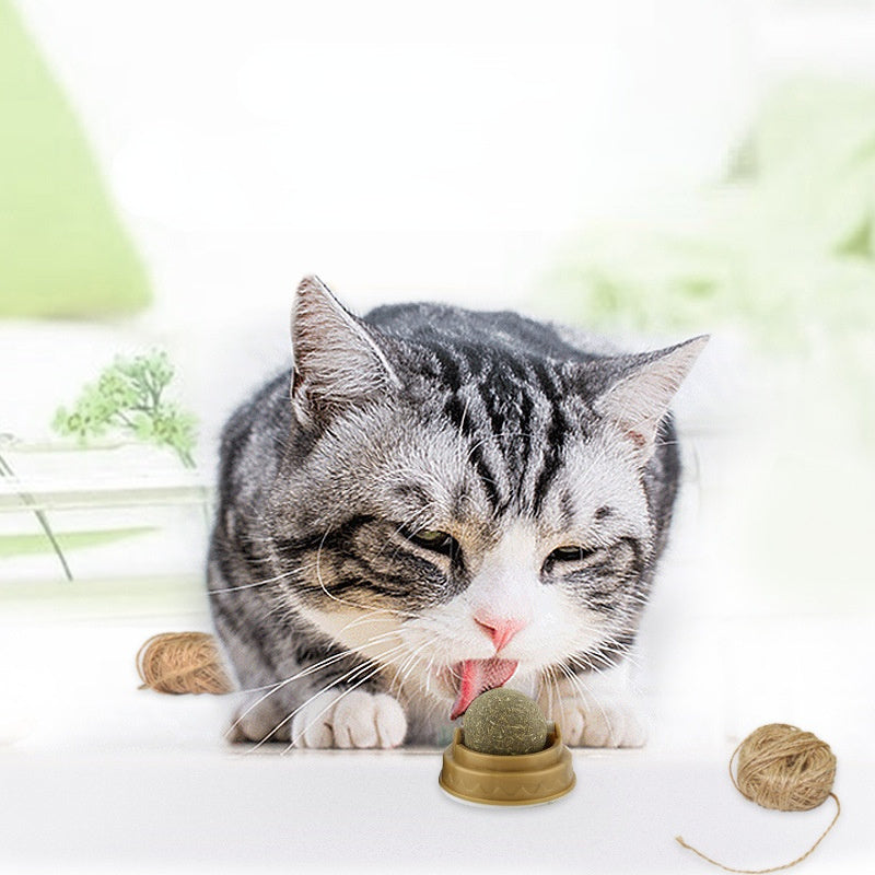 Catnip Balls Cat Treats Rotary Molar Teeth Cleaning 198714c9 225f 4423 8d31 dadff2d9adf2