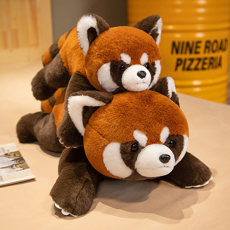 Coati Doll Plush Toys Cute 1bbec39a eb60 4440 acc7 5dcac54be594
