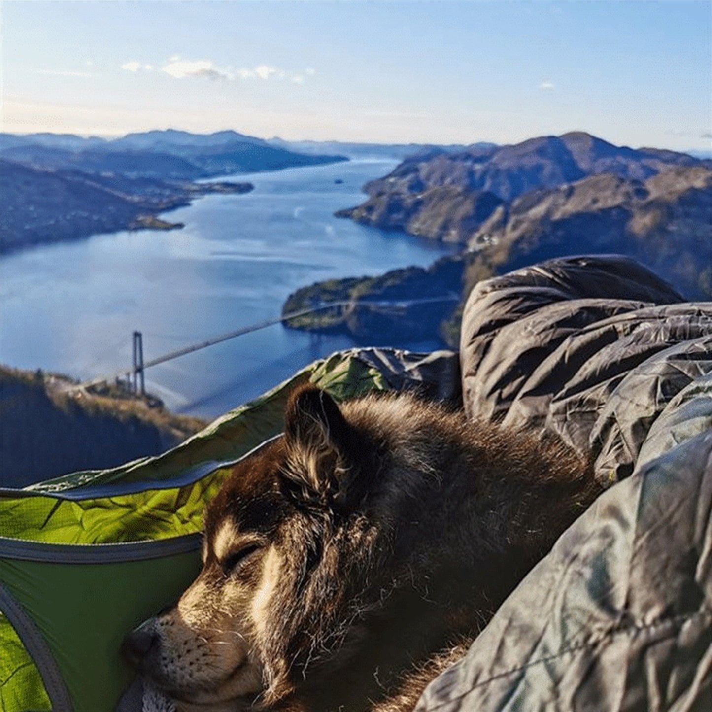 Flat Sleep Hammock Tent With Bug Net And Suspension Kit Outdoor Camp Super Long Camping Portable Hammock 1ef8f21a 976f 42c5 b