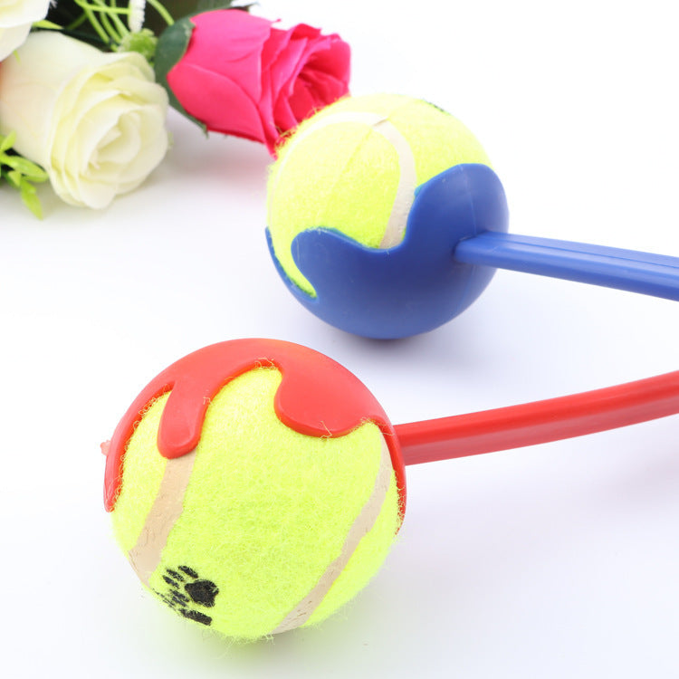 Dog throwing ball 2154446393565