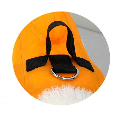 Large and small dog tide brand pet swimsuit 2215810908818
