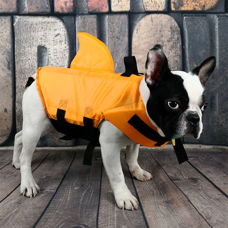 Large and small dog tide brand pet swimsuit 2304459414546