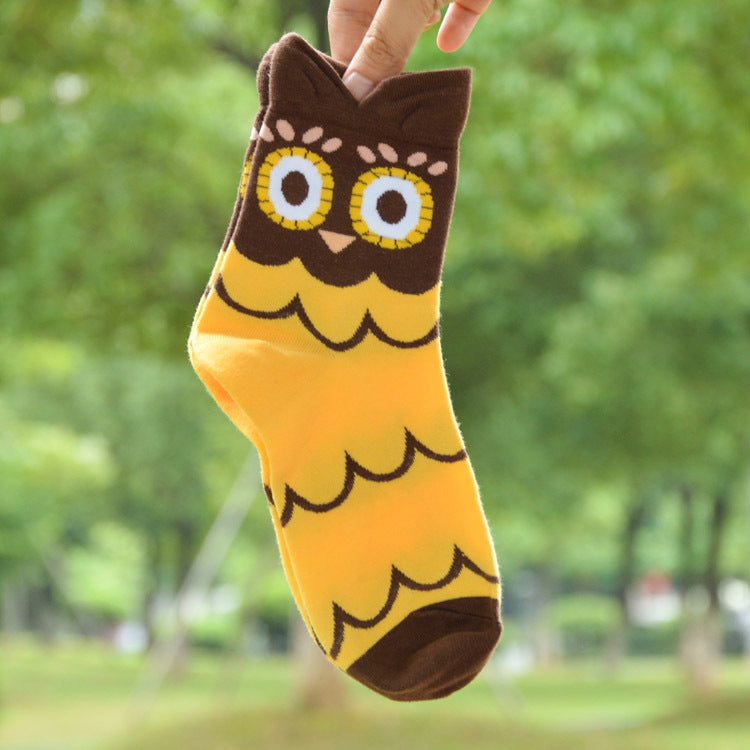 Owl cartoon female socks 2328699961 520631427