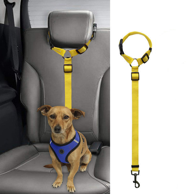 Car Backseat Pet Leash for stability 235ea930 3168 4c1a 8588 5da15dbe9ea2