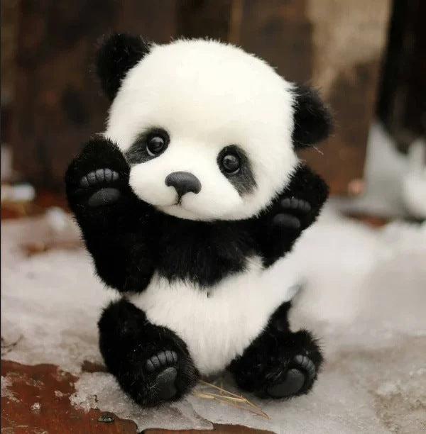 Cotton Plush Doll Black Bear Raccoon Toy 2406a2e0 c5c5 4223 8206 33e1e80b7040