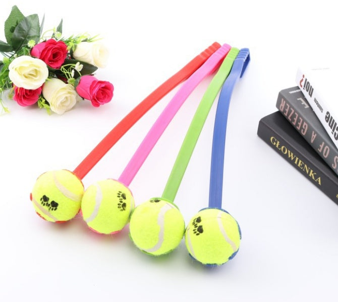 Dog throwing ball 2431319009116