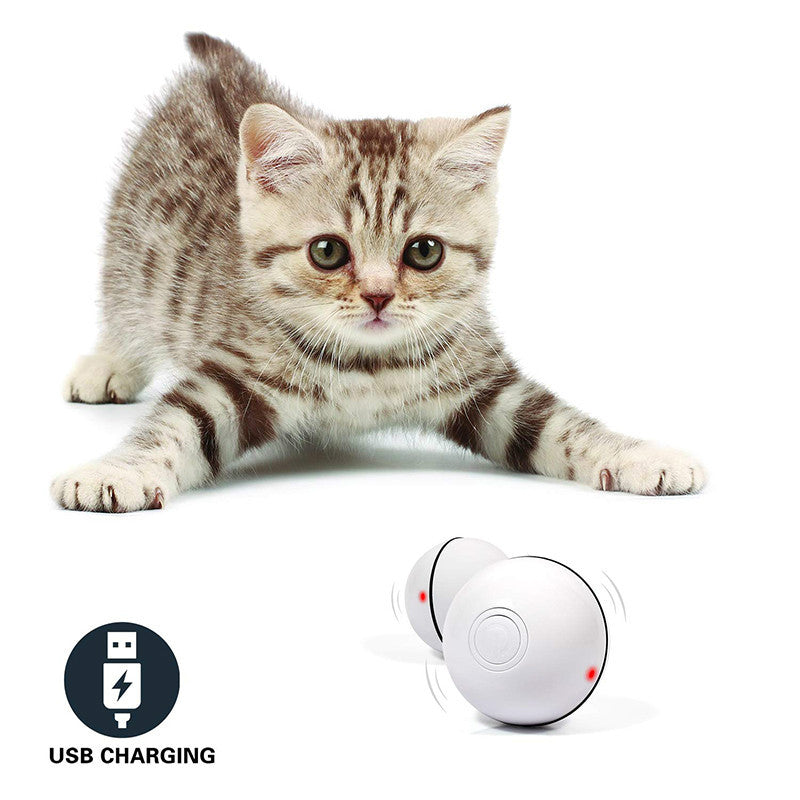 LED Laser Electronic Rolling Pet Funny Cat Toy Ball 270d87a9 cbf5 4340 9ed2 a845fe2b396e