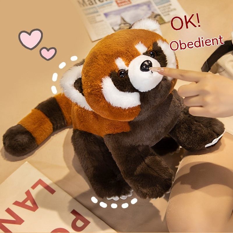 Coati Doll Plush Toys Cute 333f99d3 ba5a 460e b49e 8cf1dc0dc4a6 ad169410 2713 4f40 99ce a3f9ff37106b