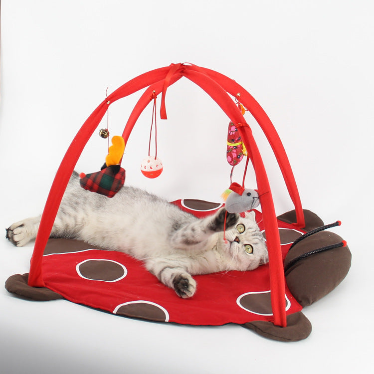 Cat playing bed 3399618413 1798973395