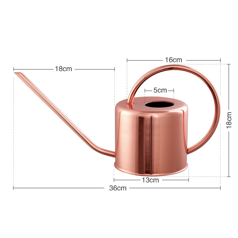 Brass Golden Watering Can And Stainless Steel Watering Can 38611aec 0f25 496a 80b7 11ddb5909b36