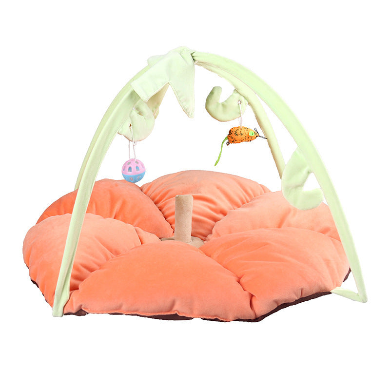 Cat playing bed 38806335177090