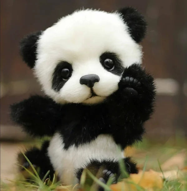 Cotton Plush Doll Black Bear Raccoon Toy 3c29992d 063a 4771 80d4 978708bebff8