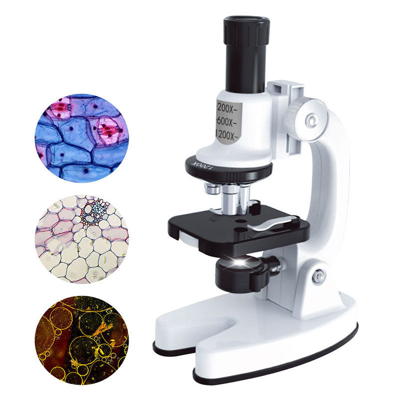 High Definition 1200x Microscope Toy Set Primary School Biological Science Experiment 3d1f0706 e47e 4509 98d0 62d4ce701ee0