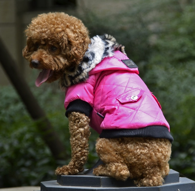 Cross-border pet supplies pet clothes dog clothes autumn and winter fur collar coat pet dog clothing 42225187495700