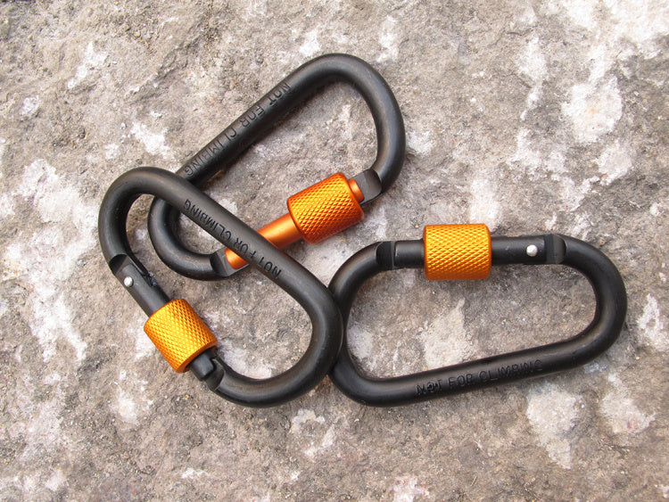 Carabiner 493373396707