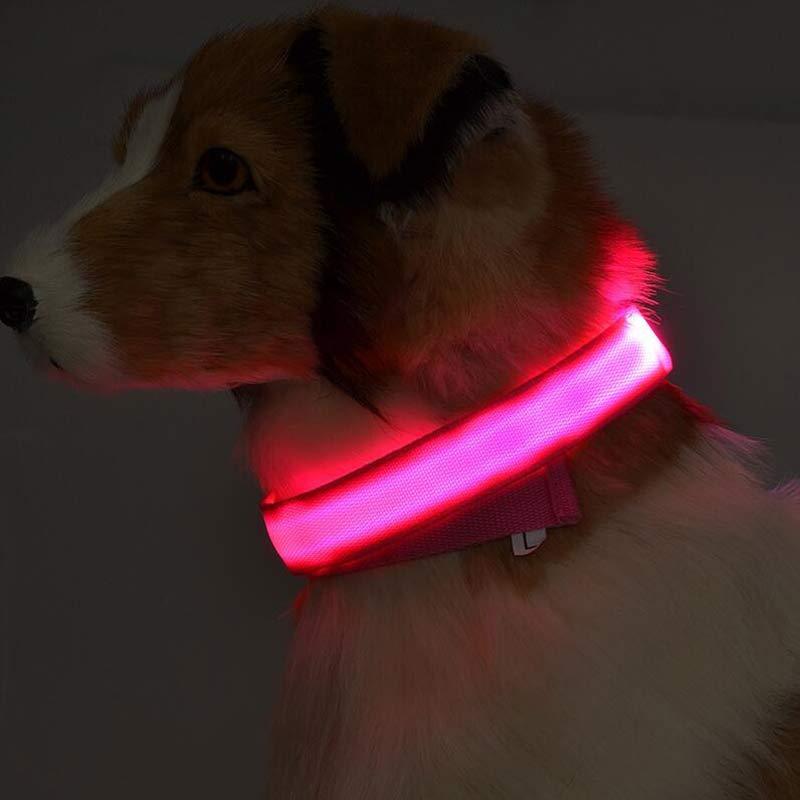 Nylon LED Pet Dog Luminous Collar Night Safety Flashing Glow in Dark Dog Cat Leash Adjustable Pet Supplies 513611666867721