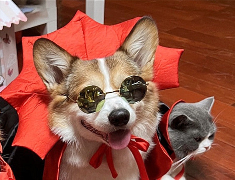 Halloween Pet Costumepet Halloween Cape Vampire King 5231d8de fd12 4dda 8abd 4a3c5b8fe2b8