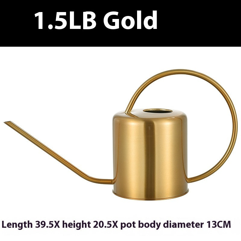 Brass Golden Watering Can And Stainless Steel Watering Can 54e23685 78a1 4080 be25 5388e7afce49 trans
