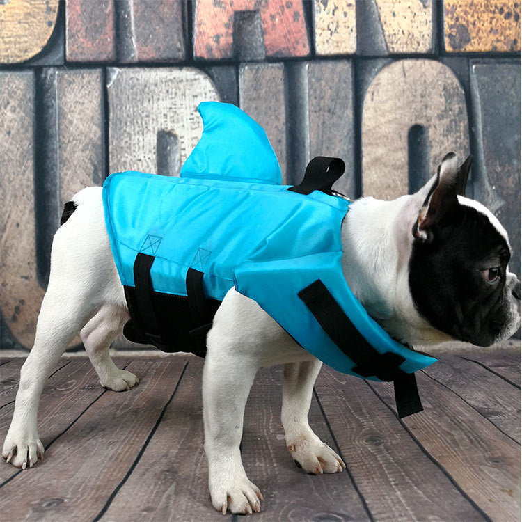 Large and small dog tide brand pet swimsuit 5549397118561