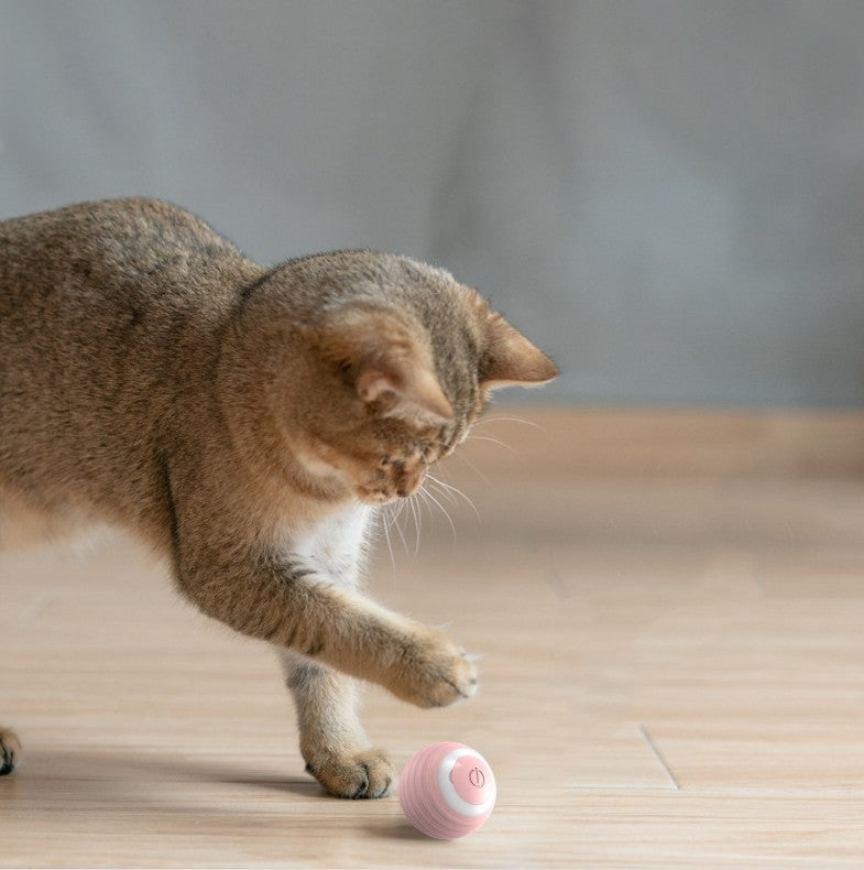 Automatic Moving Bouncing Rolling Ball Smart Cat Toy Ball Self-Moving Kitten Toy For Indoor Cat Kitten 59092fff 5287 4b5d bd7