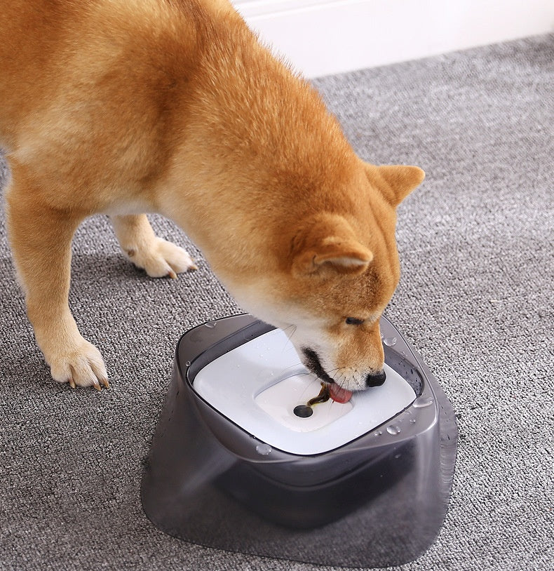 Pet Dog Bowl Floating Not Wetting Mouth Cat Bowl No Spill Drinking Water Feeder 729634692236