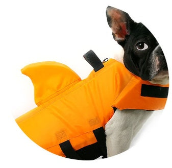 Large and small dog tide brand pet swimsuit 752376144268