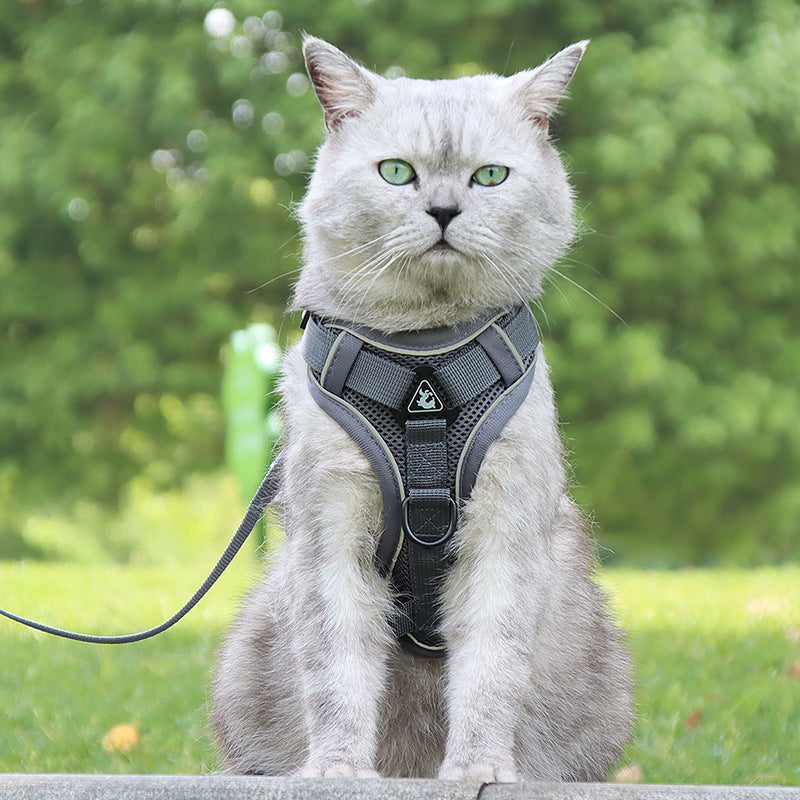 Cat-specific Anti-breakaway Cat Rope Silver Gradient Chain 78219501 f6ff 4954 b733 f8da41176e98