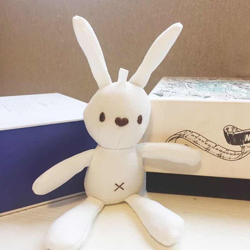 Teddy Bear, Pineapple, Wish, Hand Gift, Doll, Pendant Accessories, Packing Box, Korean Rabbit 7d6093e6 91f6 437e b1c6 8026949