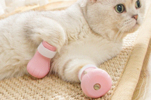 Anti-scratch Protective Gloves Bath Cat Bag Pet Cleaning Supplies 82287404 a07c 44d9 82c9 e50b6961882d