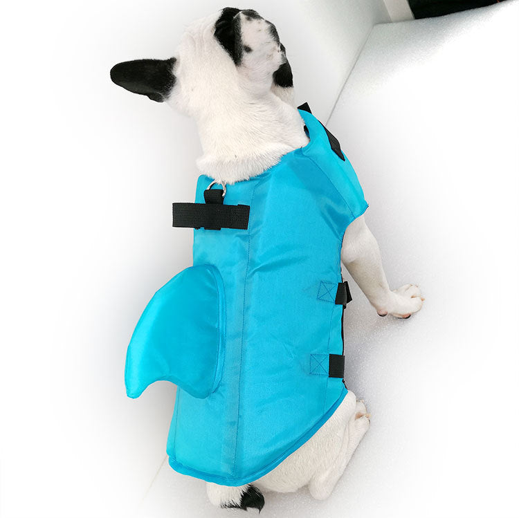 Large and small dog tide brand pet swimsuit 8411747252078