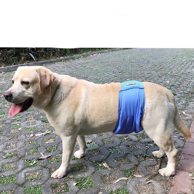 Male Dog Restraint Courtesy Belt Pet Supplie Washable Sanitary Diapers 90429015 9dfe 4f5d b8eb 64ba860d38ab