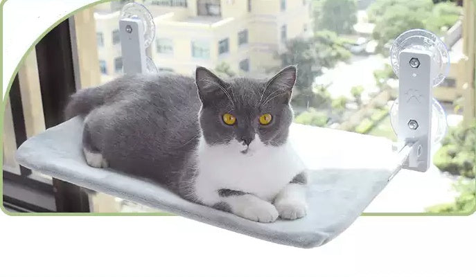 Cat Suction Cup Window Glass Hammock Pet Cat Pets Products 99ec36c5 8d72 4b2c 88b6 189c27565f9d