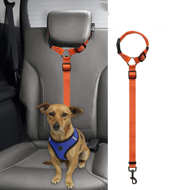 Car Backseat Pet Leash for stability 9e15d5a2 f0a3 4261 b904 ca35f63d7db9
