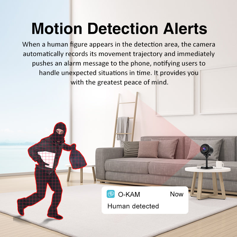 CB76-2: Effortless Security Solution with Fast Bluetooth Connectivity CB76 2 4