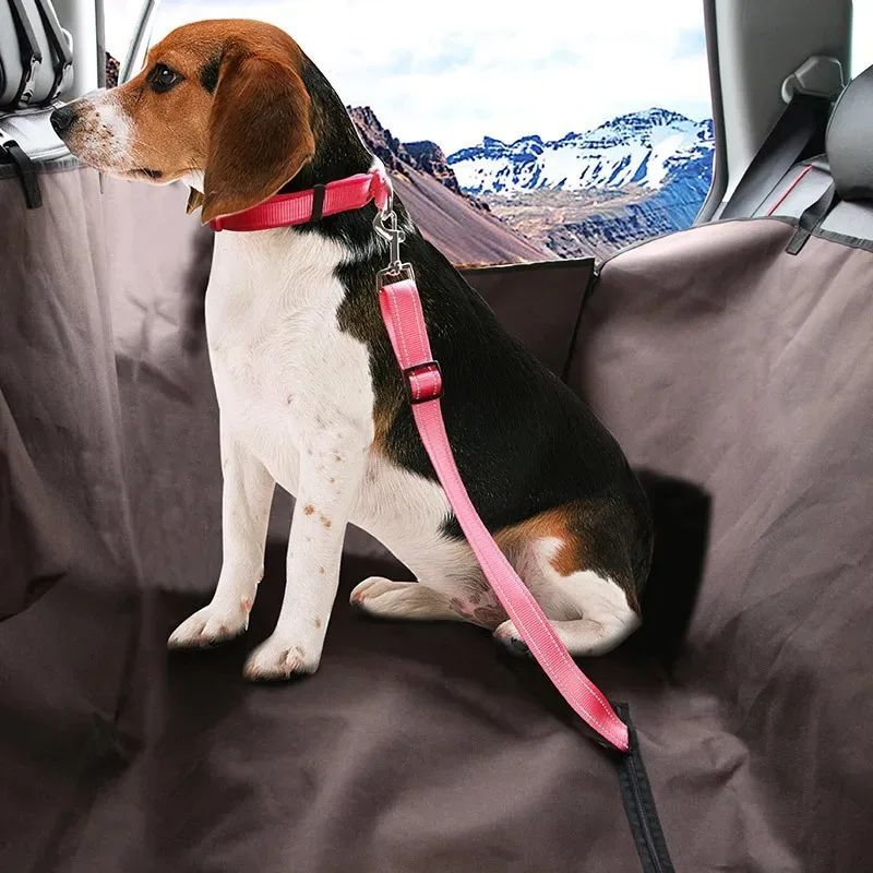 Pet Supplies Dog Car Dog Seat Belt Harness Leash Dog Collar Adjustable Seatbelt Leash For Small Medium Dog Traveling Accessor