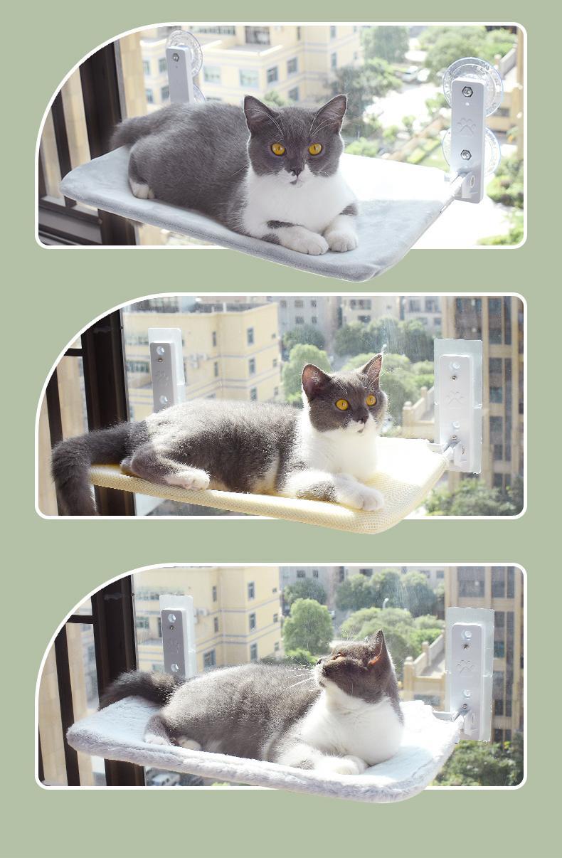 Cat Suction Cup Window Glass Hammock Pet Cat Pets Products b369ed5a 1a68 4886 a702 0e12ef81698f