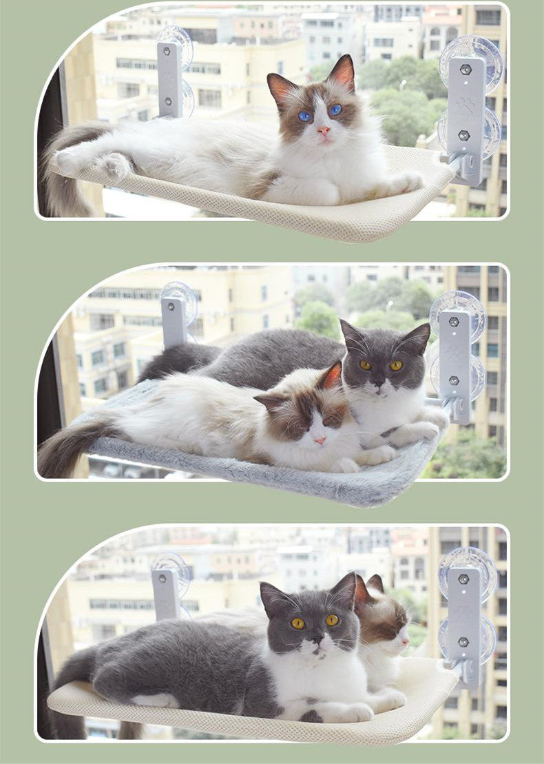 Cat Suction Cup Window Glass Hammock Pet Cat Pets Products b9b4c35f 8b81 4ff9 875a 14c9e74fd296