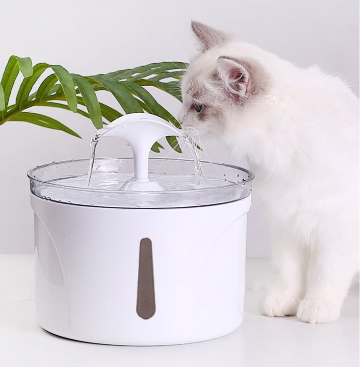 Pet Water Dispenser Intelligent Automatic Circulating Filter Water Dispenser bc35d13d 3c30 48b6 9b40 458e82090b3e