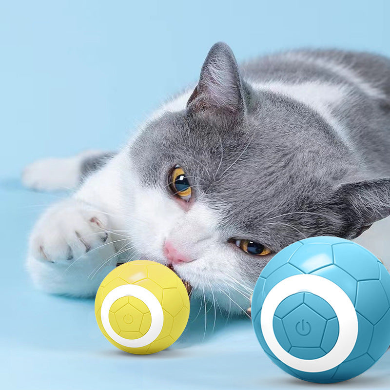 Gravity Funny Cat Electric Pet Toy Ball c3d0eca5 24c3 4212 8d88 7760f2ce86f3